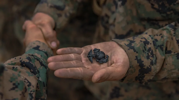 The Value of Necessity as Competitive Advantage: What the Marine Corps Teaches About Innovation Under Constraint